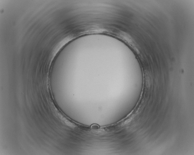 X0000073931186200609011827