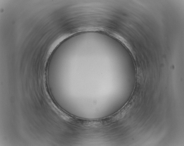 X0000073931187200609011827