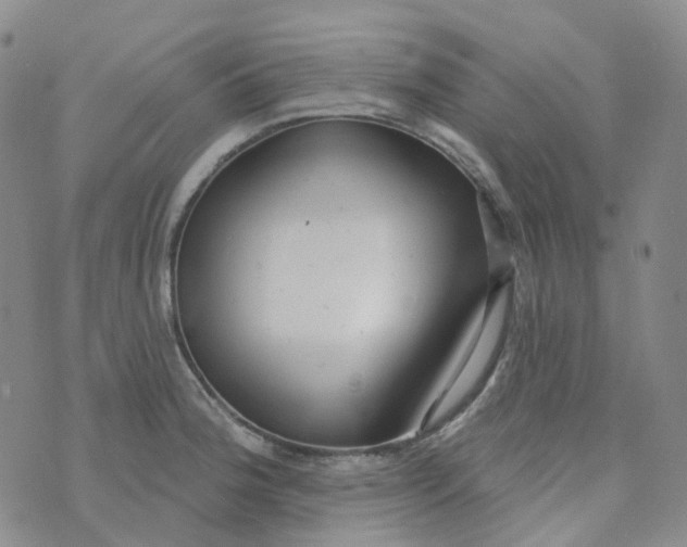 X0000073931188200609011827