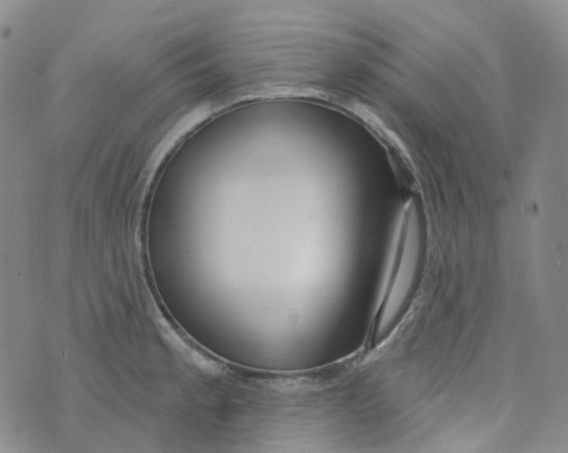 X0000073931189200609011826