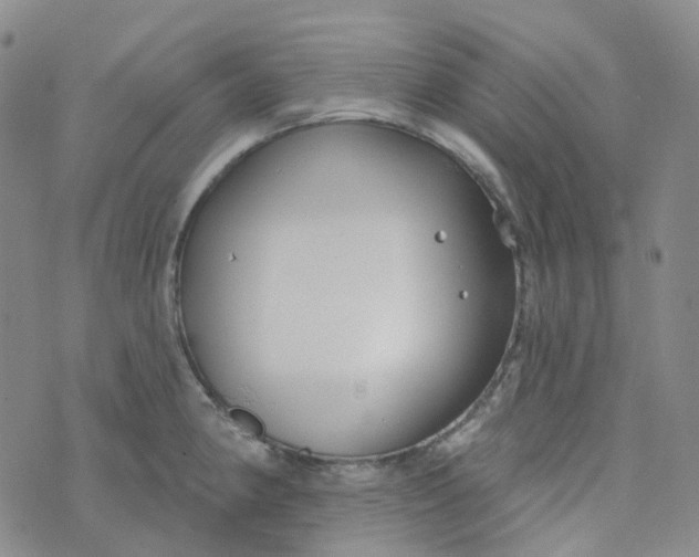 X0000073931190200609011826