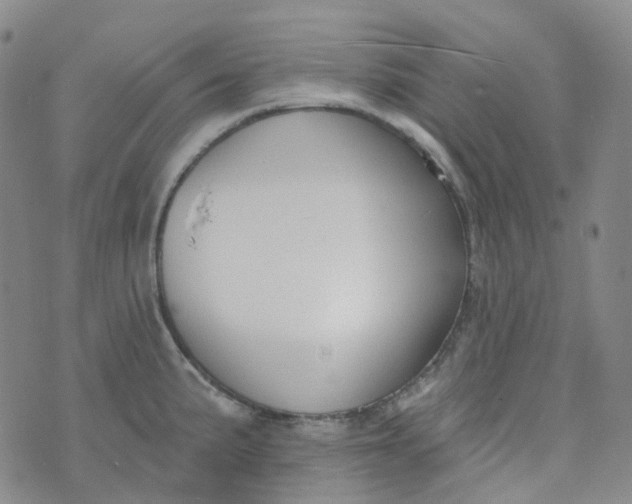 X0000073931191200609011826