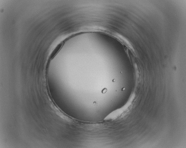 X0000073931192200609011826