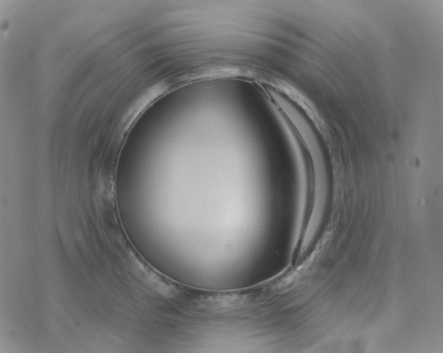 X0000073931193200609011826