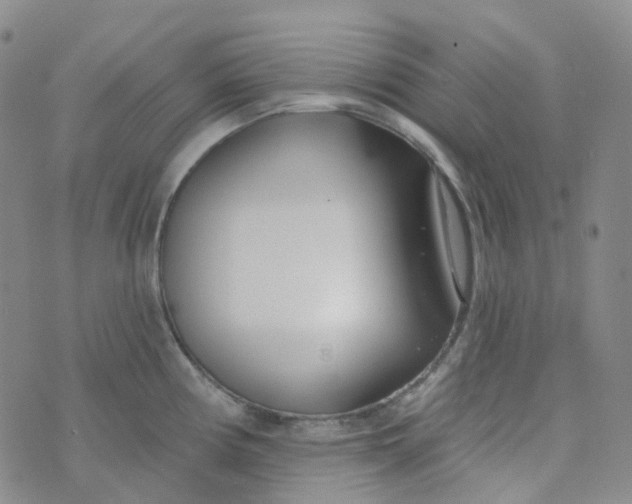 X0000073931194200609011826