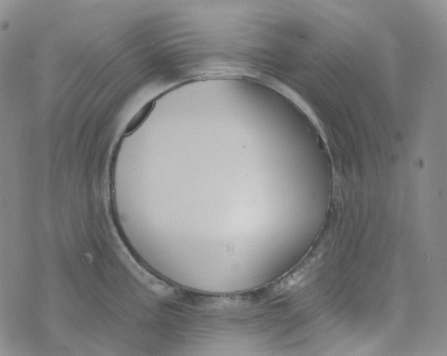 X0000073931195200609011826