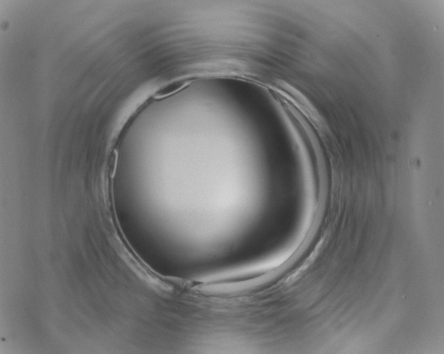 X0000073931196200609011826