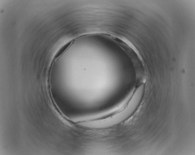 X0000073931197200609011826