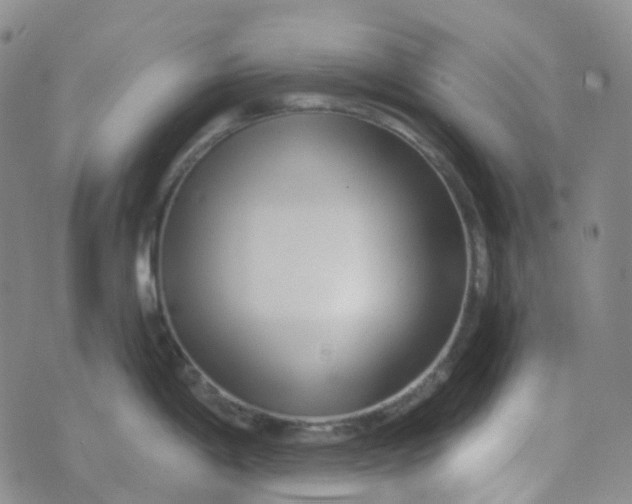 X0000073931198200609011826