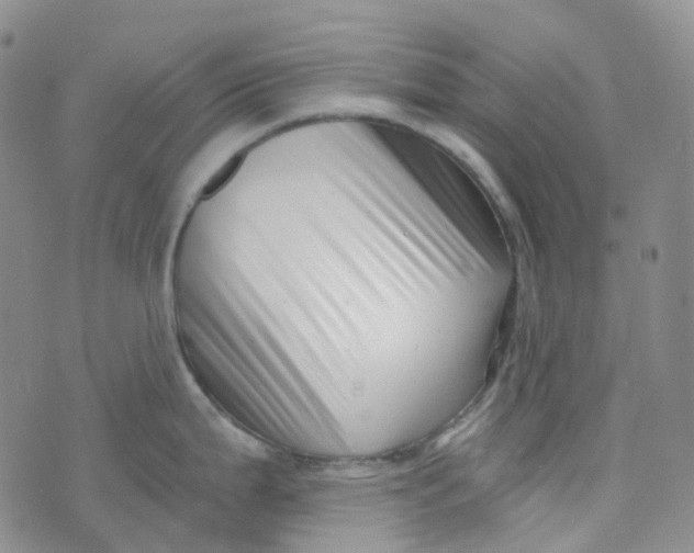 X0000073931199200609011826