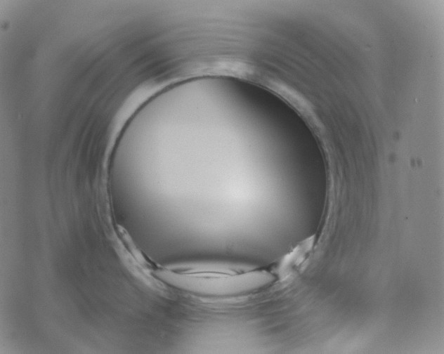 X0000073931200200609011826