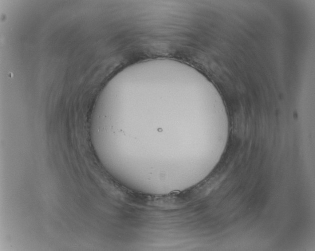 X0000073931201200609011826