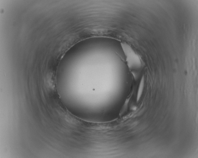 X0000073931202200609011826