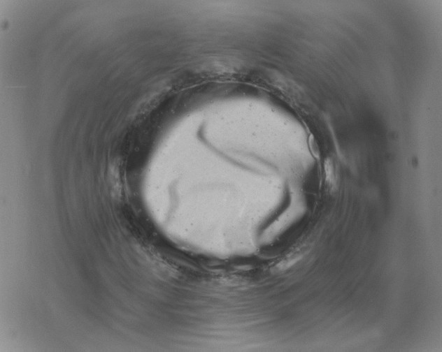 X0000073931203200609011826