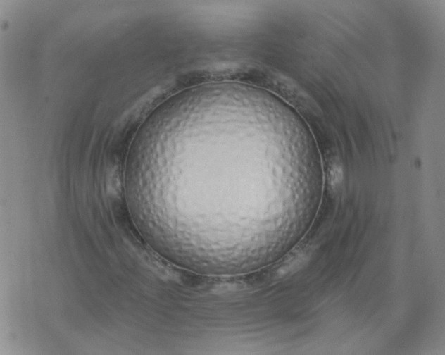 X0000073931204200609011826