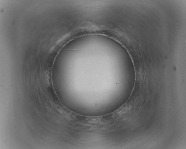 X0000073931205200609011826