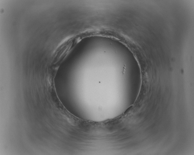 X0000073931206200609011826