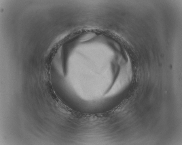 X0000073931207200609011826