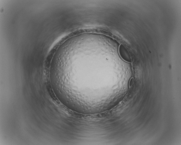 X0000073931208200609011826