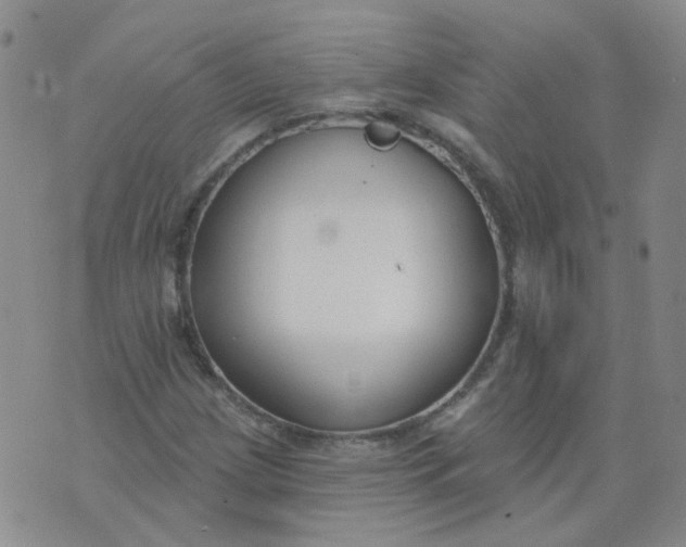 X0000073931209200609011826