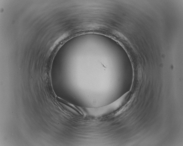 X0000073931210200609011826