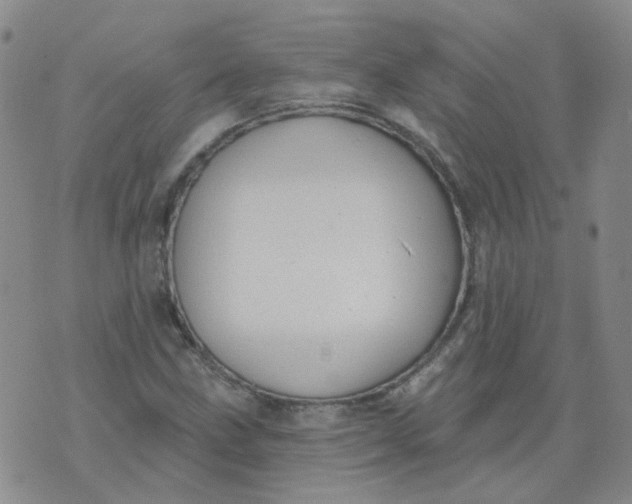 X0000073931211200609011826