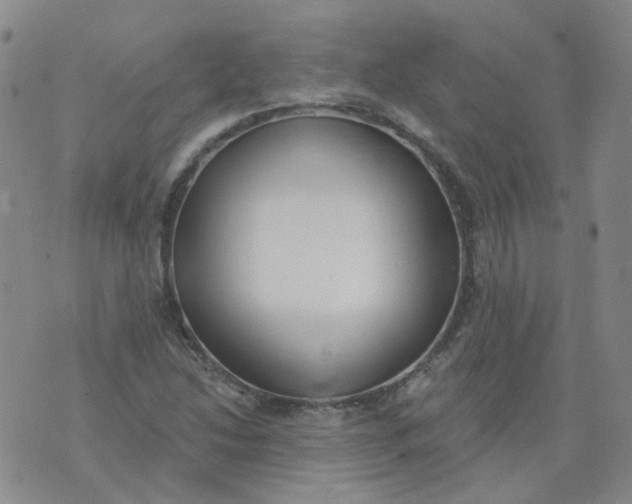 X0000073931214200609011826