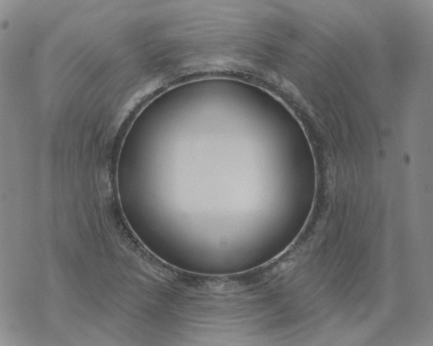 X0000073931218200609011826