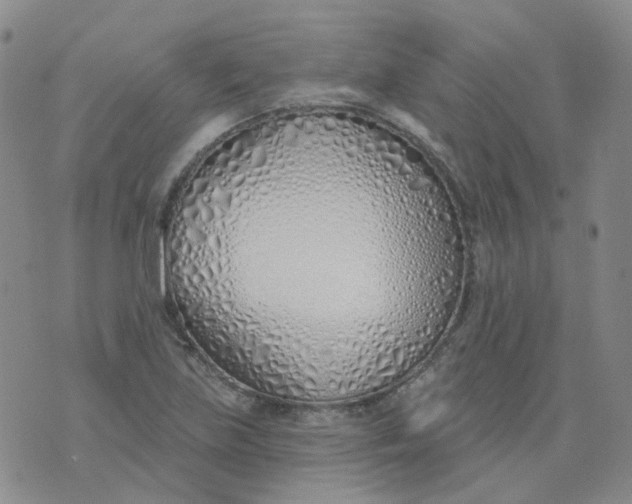 X0000073931219200609011826