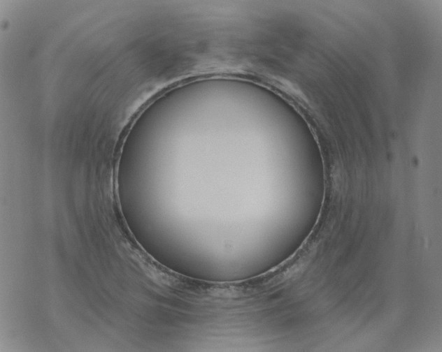 X0000073931220200609011826