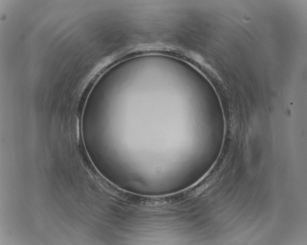 X0000073931221200609011826