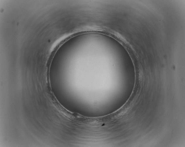 X0000073931222200609011826