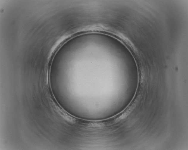 X0000073931224200609011826