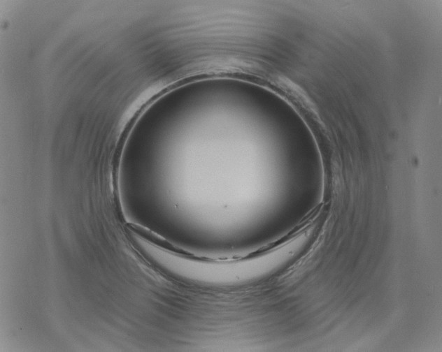 X0000073931226200609011826