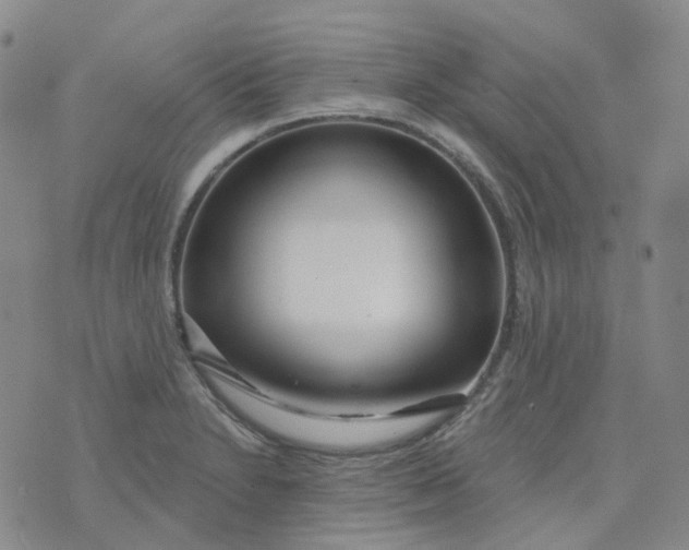 X0000073931230200609011826