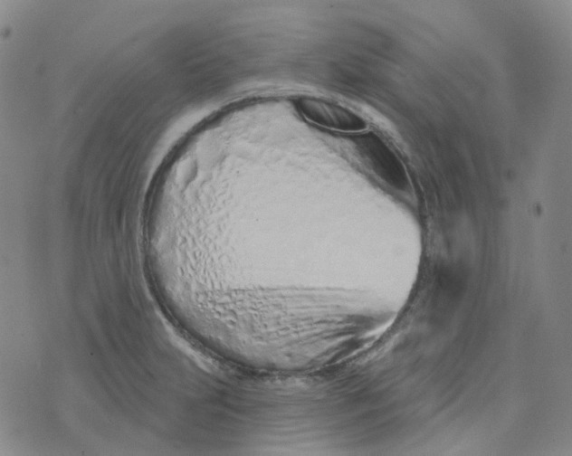 X0000073931231200609011826