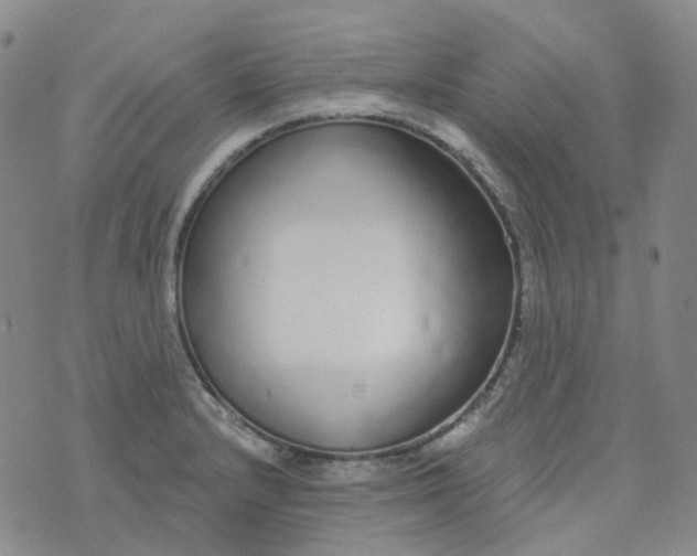 X0000073931232200609011826