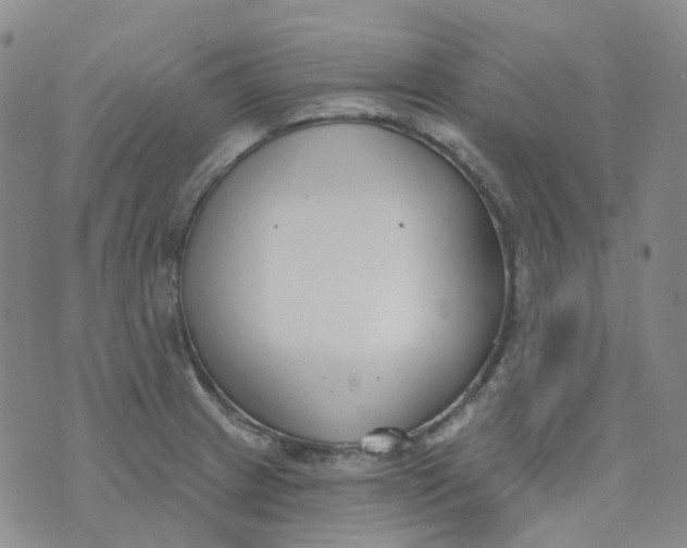 X0000073931233200609011826