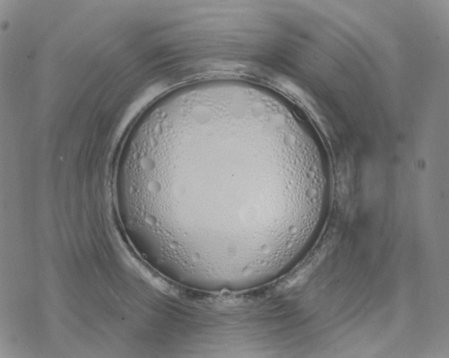 X0000073931235200609011826