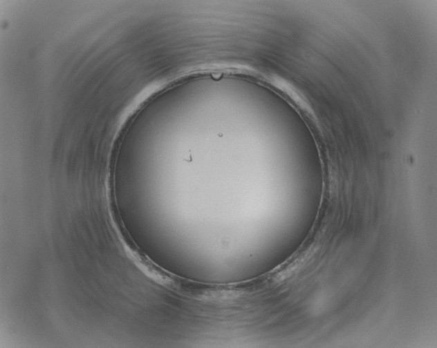 X0000073931237200609011826