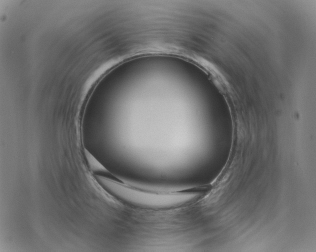 X0000073931238200609011826