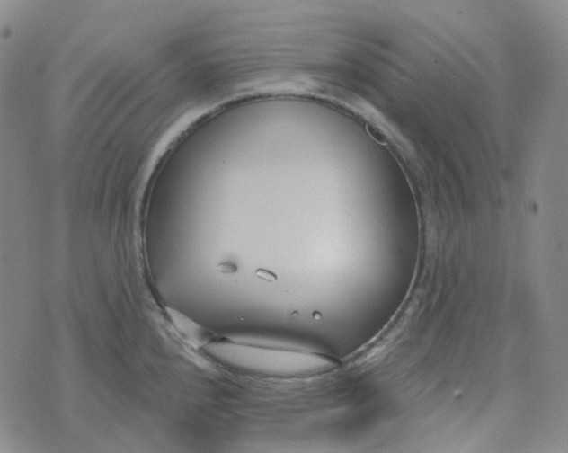 X0000073931240200609011826