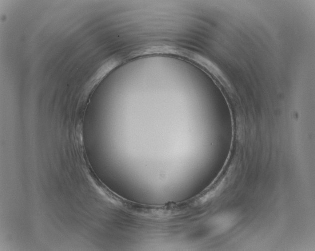 X0000073931241200609011826