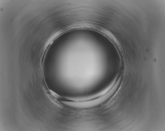 X0000073931242200609011826