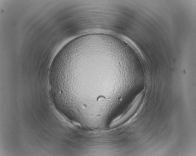 X0000073931244200609011826