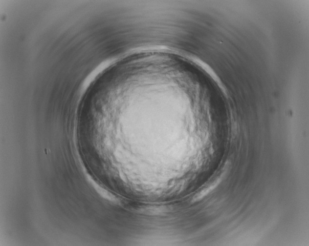 X0000073931245200609011826