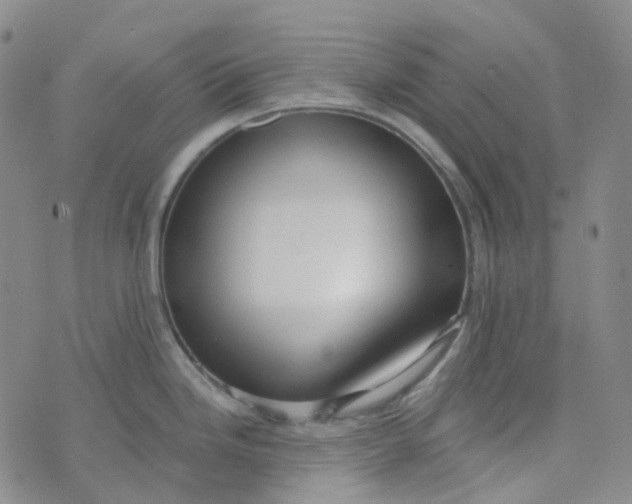 X0000073931246200609011826