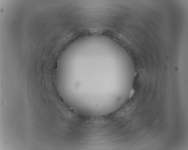 X0000073931249200609011826