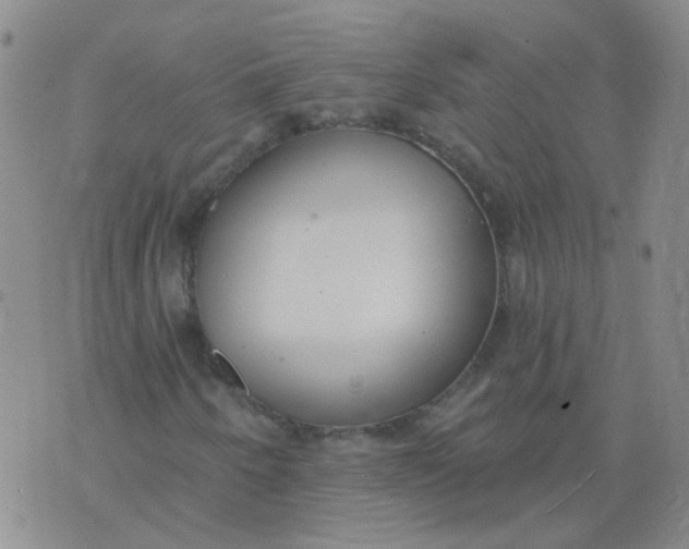 X0000073931250200609011825