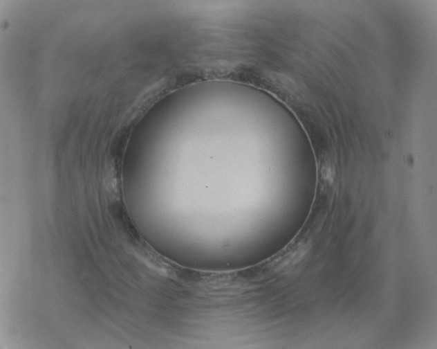 X0000073931252200609011825